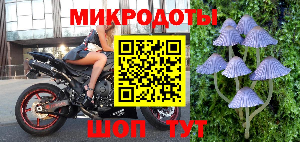 Псилоцибиновые грибы ЛСД  где найти наркотики  Лесосибирск  Вход с VPN  Галлюциногенные грибы Cubensis 